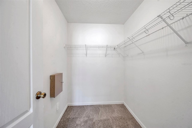 walk in closet with carpet
