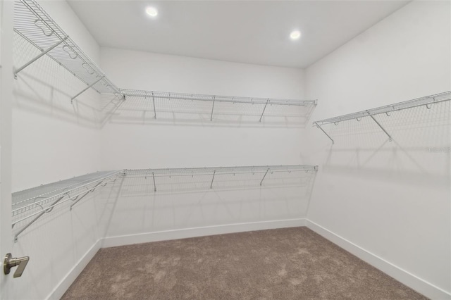 walk in closet with dark colored carpet