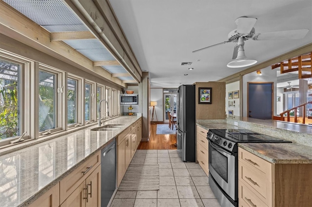 kitchen with a wealth of natural light, a ceiling fan, stainless steel appliances, and a sink