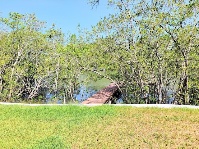 property view of water with a forest view