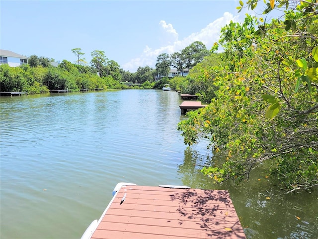 dock area featuring a water view