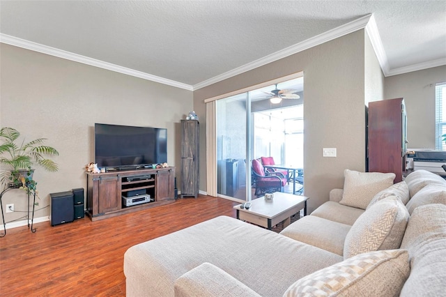 living room with a wealth of natural light, crown molding, a textured ceiling, and wood finished floors