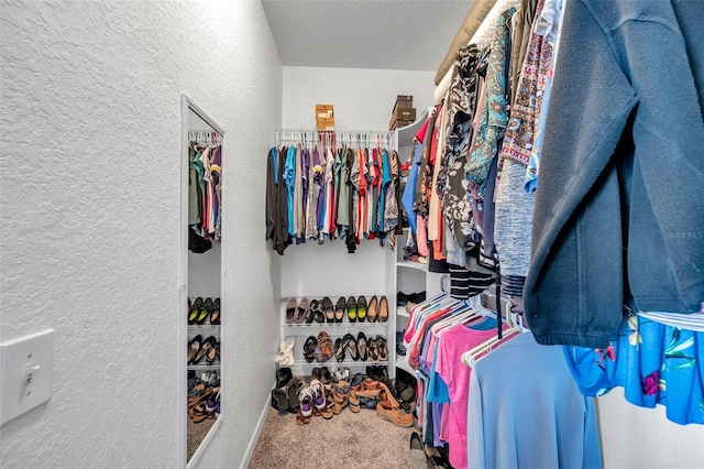 walk in closet with carpet floors