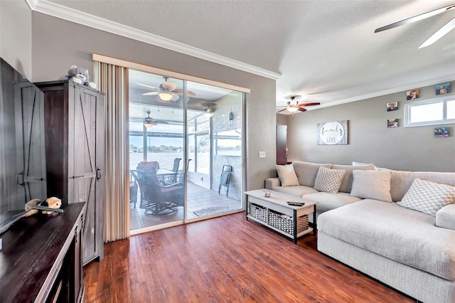 living room featuring ceiling fan, a textured ceiling, ornamental molding, and dark wood-type flooring