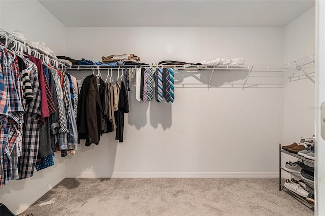 walk in closet featuring carpet floors