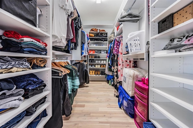 spacious closet featuring wood finished floors