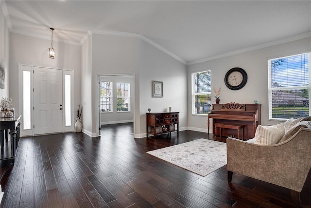 entryway with dark wood finished floors and a wealth of natural light