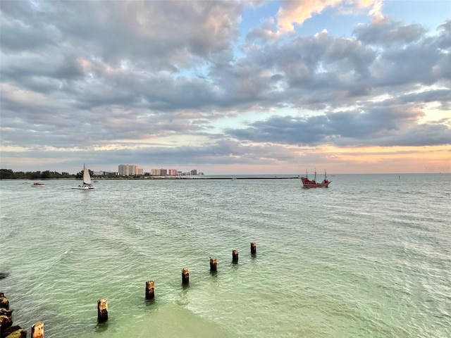 property view of water