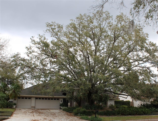 view of property hidden behind natural elements featuring stucco siding, driveway, and an attached garage