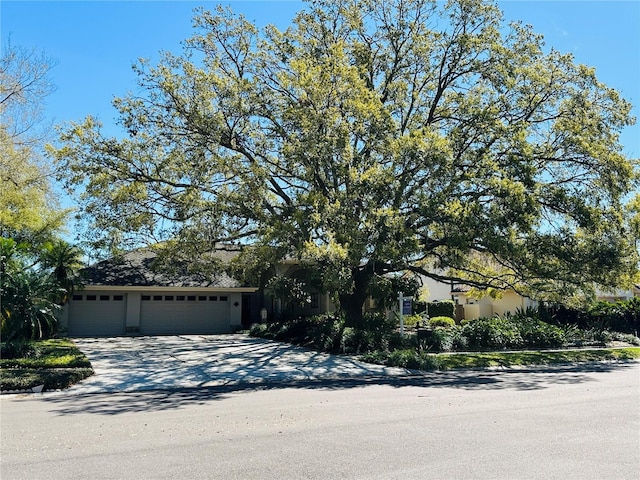 view of property hidden behind natural elements featuring a garage, driveway, and stucco siding