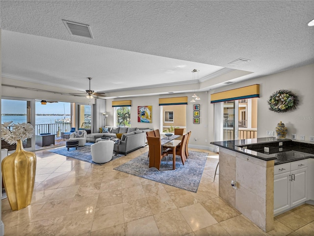 living area with a ceiling fan, visible vents, and a textured ceiling