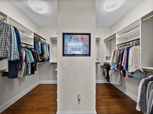 walk in closet featuring wood finished floors