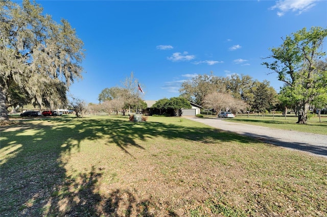 view of yard featuring a garage and driveway