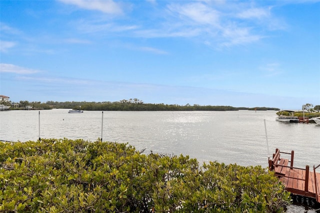 property view of water with a dock