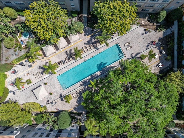 2402 W Azeele St Unit 423, Tampa, FL 33609 - bird's eye view of a pool area
