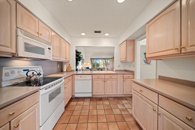 8003 Bardmoor Pl Unit 204, Seminole, FL 33777 - photo 11