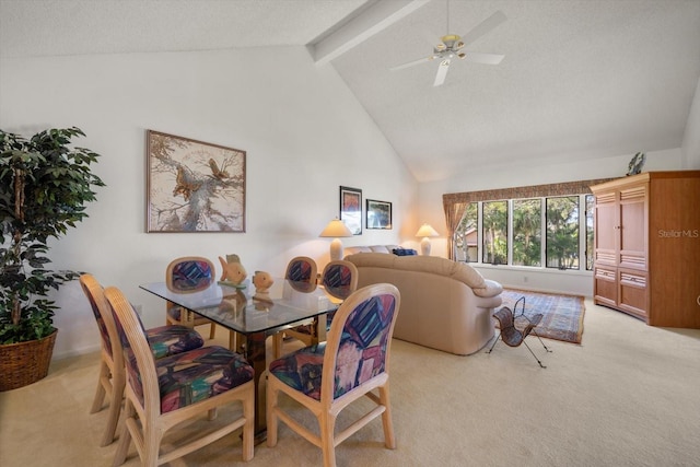 8003 Bardmoor Pl Unit 204, Seminole, FL 33777 - photo 14