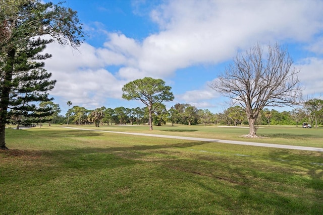8003 Bardmoor Pl Unit 204, Seminole, FL 33777 - photo 20