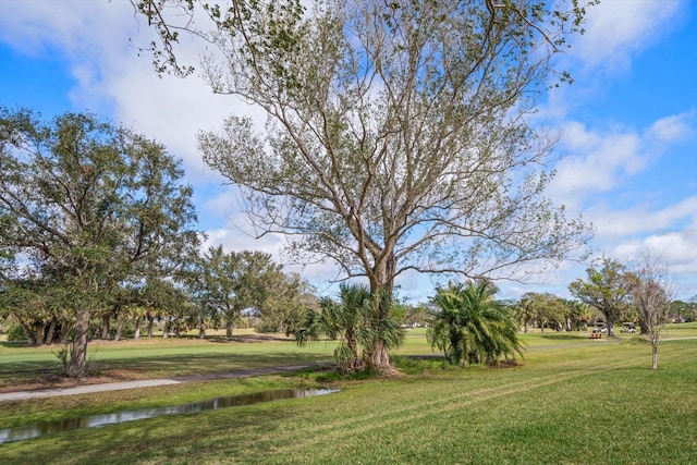 8003 Bardmoor Pl Unit 204, Seminole, FL 33777 - photo 21