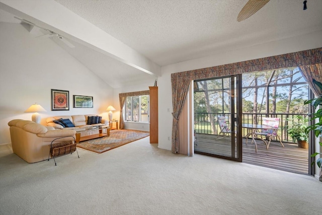 8003 Bardmoor Pl Unit 204, Seminole, FL 33777 - photo 23
