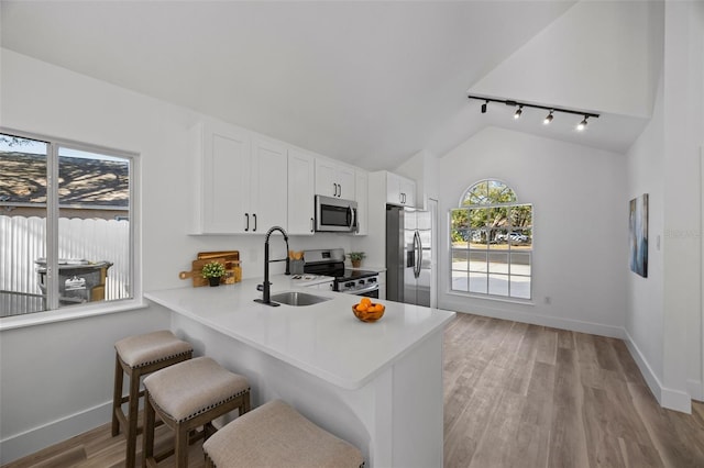 kitchen featuring lofted ceiling, a wealth of natural light, appliances with stainless steel finishes, and a sink