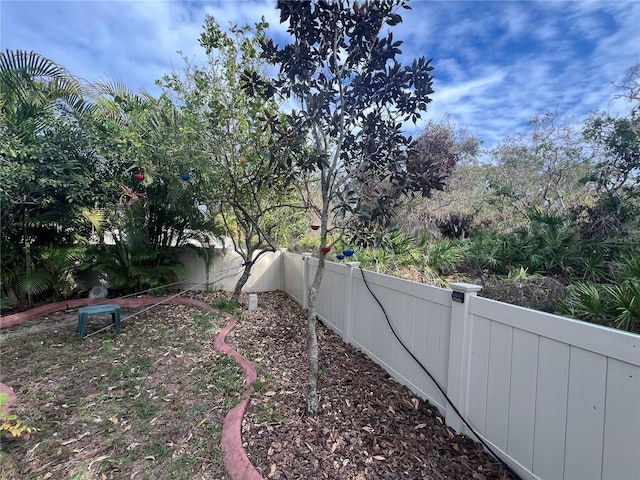 view of yard with a fenced backyard