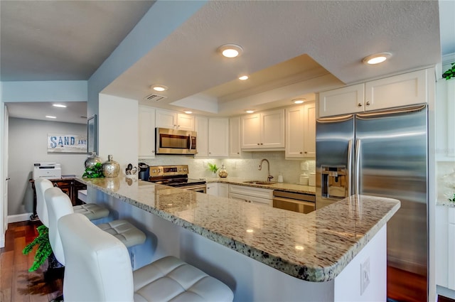 kitchen with a sink, appliances with stainless steel finishes, light stone countertops, tasteful backsplash, and a raised ceiling