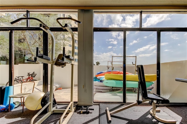 exercise room featuring plenty of natural light