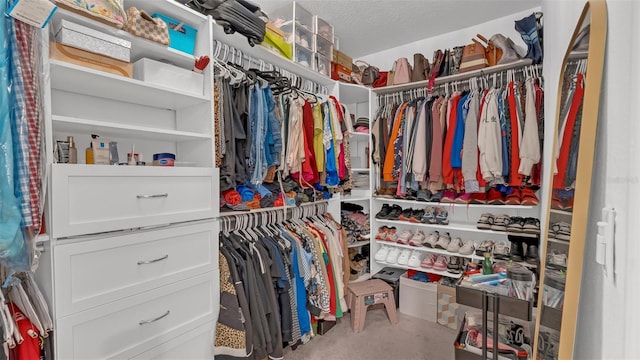 view of spacious closet