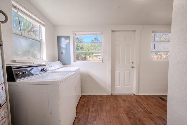 1800 27th Ave N, Saint Petersburg, FL 33713 - washroom with laundry area, wood finished floors, a wealth of natural light, electric panel, and washer and clothes dryer