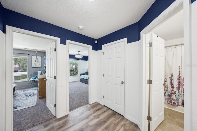 13 Witch Hazel Ct, Homosassa, FL 34446 - corridor with wood finished floors, a textured ceiling, healthy amount of natural light, and baseboards