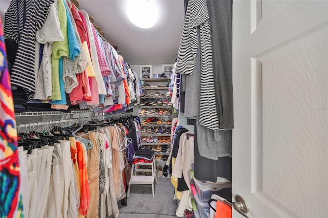 walk in closet with carpet floors