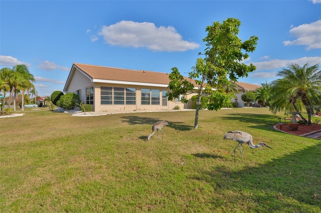 back of house with a lawn and stucco siding