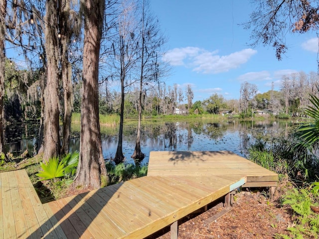 dock area featuring a water view