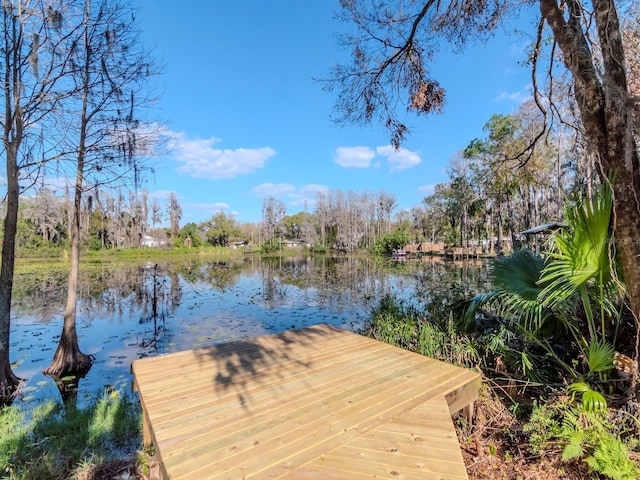 dock area featuring a water view