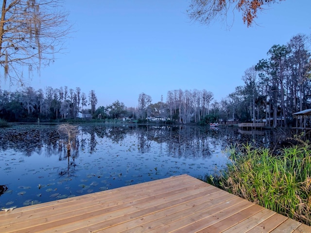 dock area featuring a water view