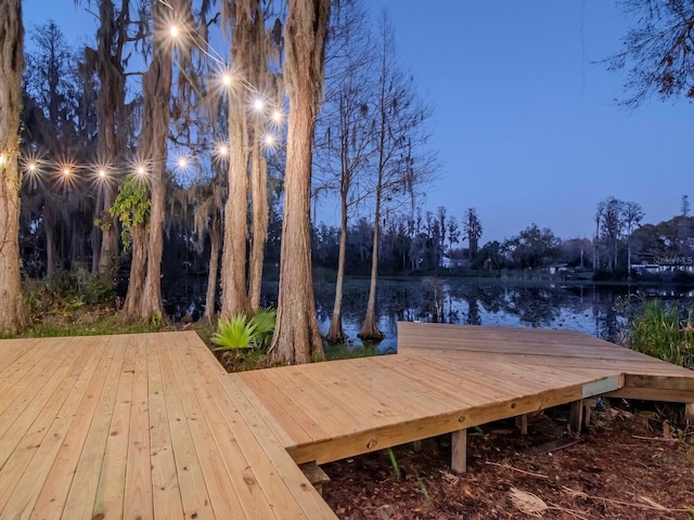 dock area featuring a water view