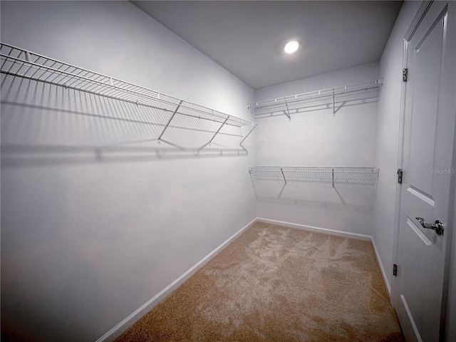 spacious closet with carpet