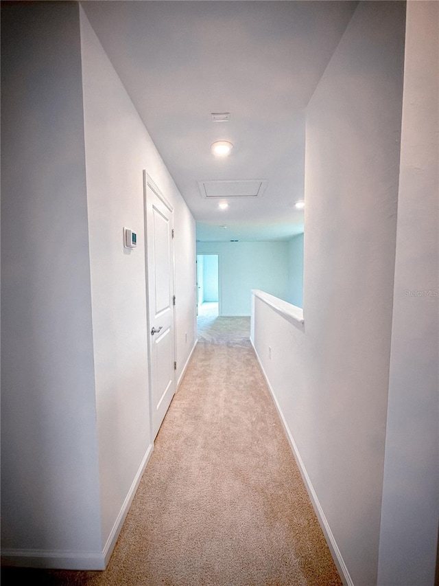 hall featuring baseboards, carpet floors, and attic access