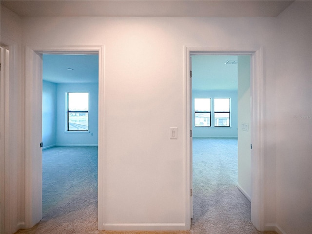 corridor featuring a wealth of natural light, carpet flooring, and baseboards