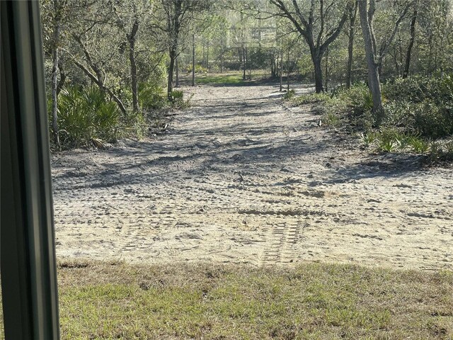8204 Chimney Rock Dr, Webster, FL 33597 - photo 6