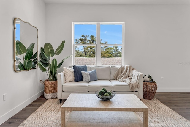 living area featuring wood finished floors and baseboards