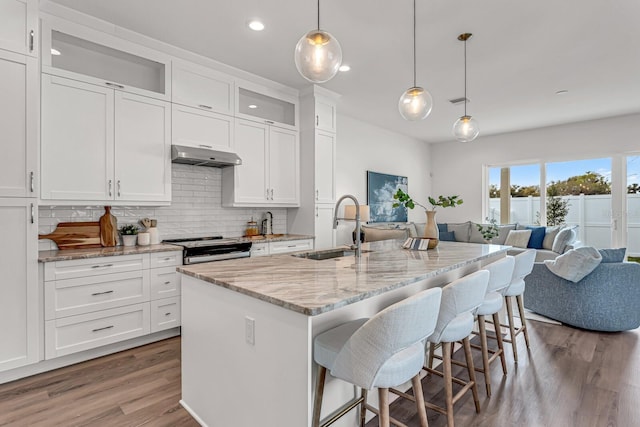 kitchen featuring under cabinet range hood, stove, wood finished floors, a sink, and open floor plan