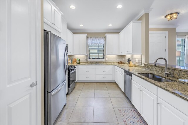 10446 Highland Park Pl, Palmetto, FL 34221 - kitchen featuring appliances with stainless steel finishes, a sink, ornamental molding, plenty of natural light, and tasteful backsplash