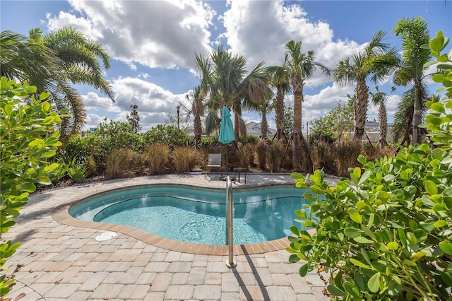 10446 Highland Park Pl, Palmetto, FL 34221 - view of pool with a swimming pool