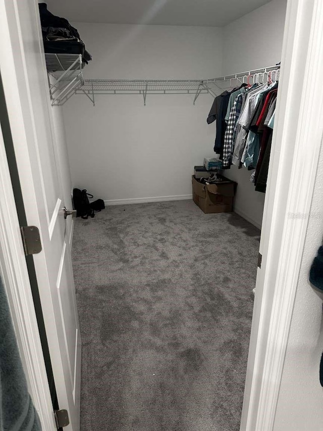 spacious closet with carpet