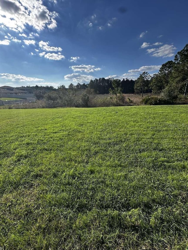 view of yard featuring a rural view