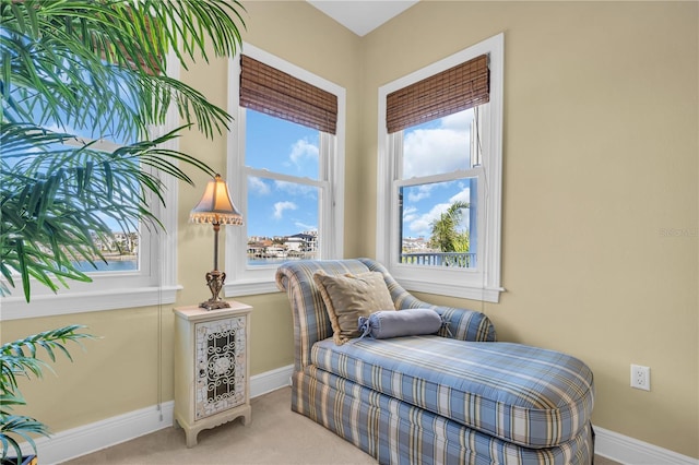 living area featuring carpet and baseboards