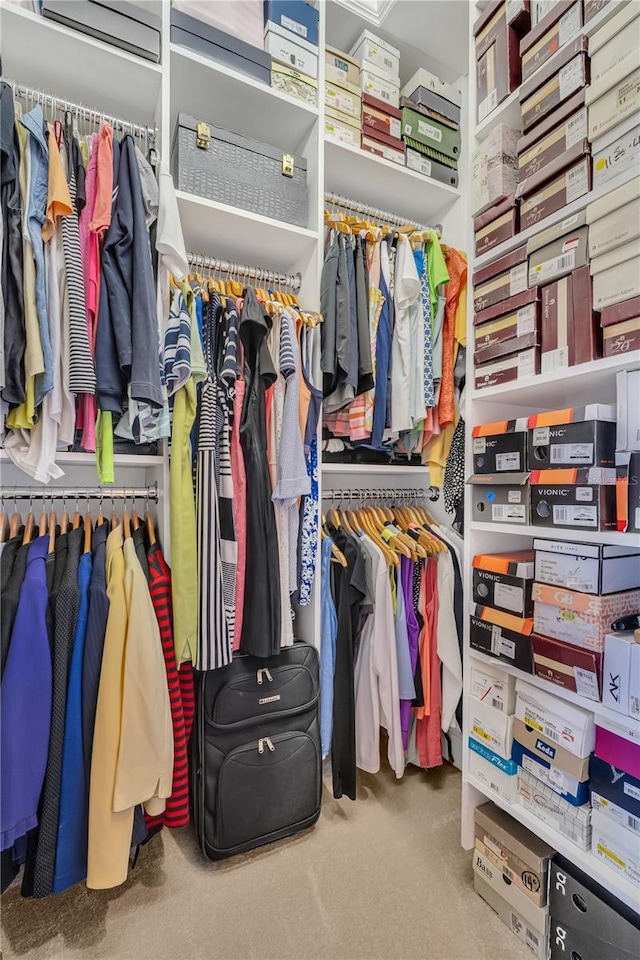 view of walk in closet