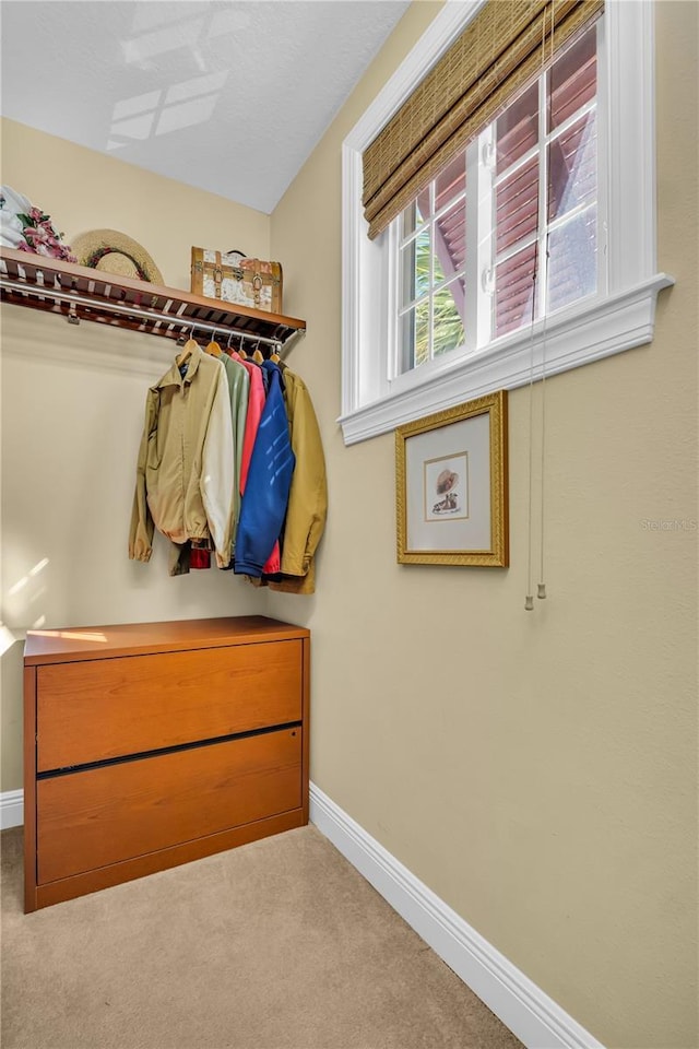 spacious closet with carpet